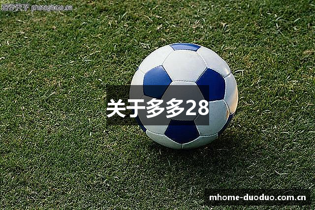关于多多28